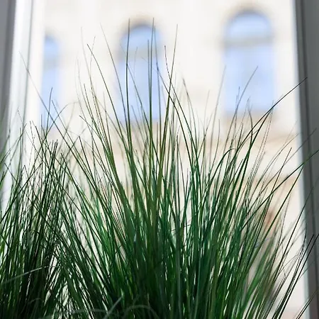 Native Studencka 25 Cracovia